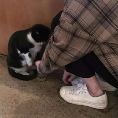 香港游客人数同比增长12